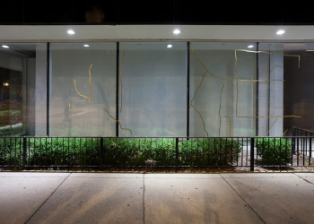 <i>Droughtscape,</i> 2017