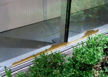 <i>Droughtscape,</i>detail 2017