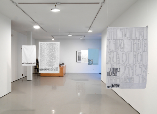 Installation view, at Monique Meloche Gallery, 2012