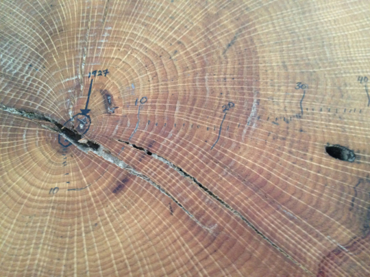 <i>Shoretime Spaceline,</i> 2016