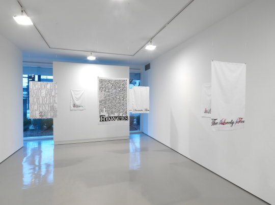 Installation view, at Monique Meloche Gallery, 2012