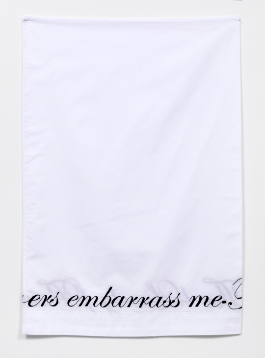 <i>Untitled (Dickinson, side 2),<i/> 2011