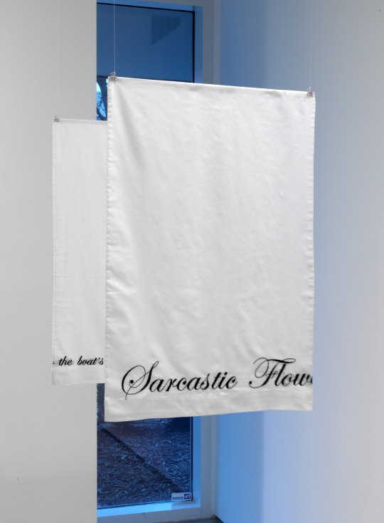 Installation view, at Monique Meloche Gallery, 2012