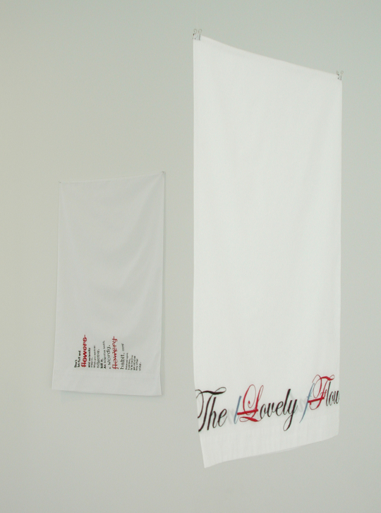 Installation view, at Monique Meloche Gallery, 2012