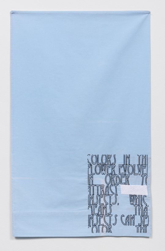 <i>Untitled (Feynman, side 1,<i/> 2011