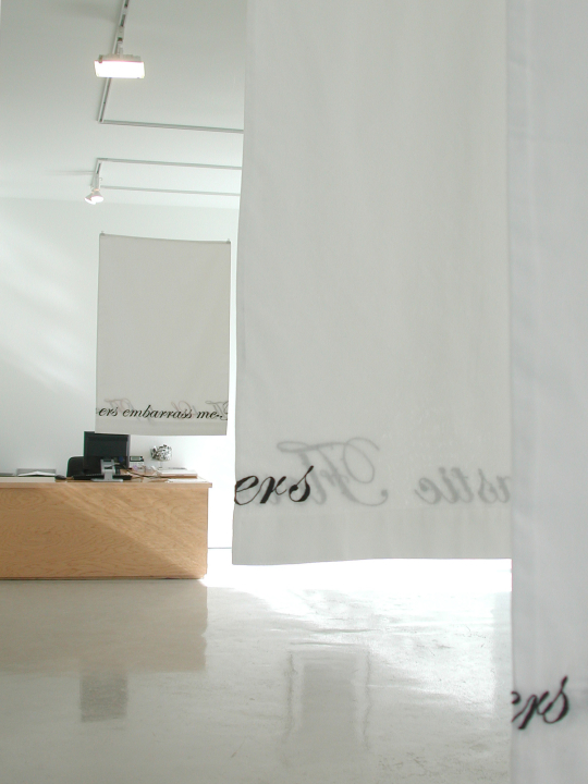 Installation view, at Monique Meloche Gallery, 2012